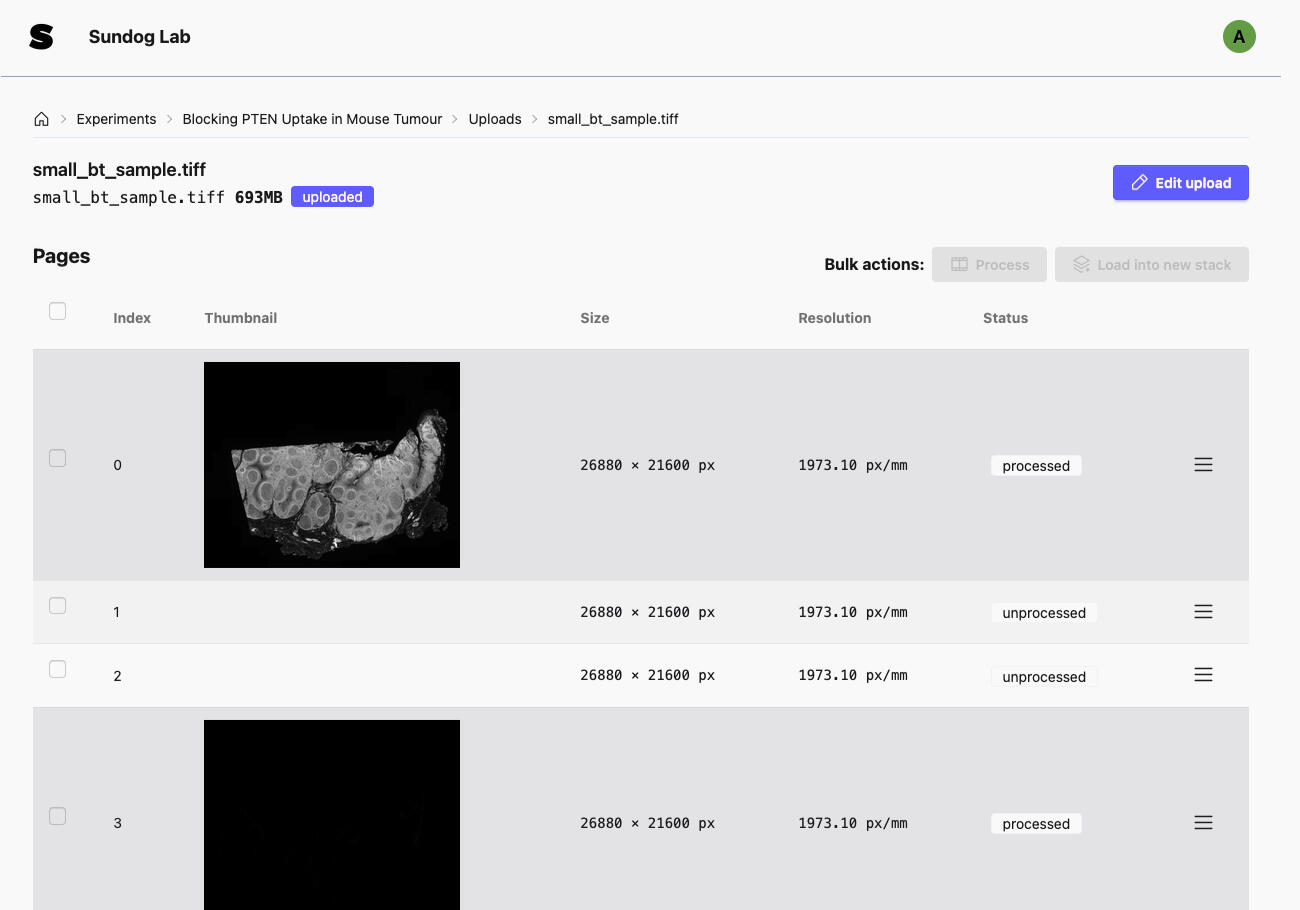 Extracting pages from a TIFF in Sundog